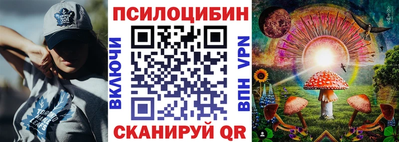 где продают Уссурийск Галлюциногенные грибы MAGIC MUSHROOMS