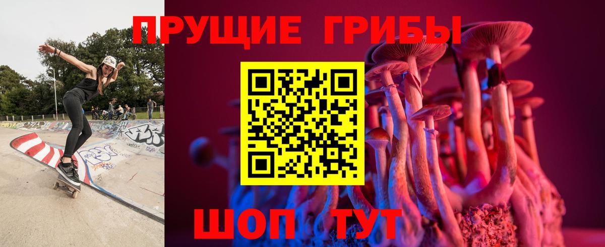 Псилоцибиновые грибы прущие грибы  Вход с VPN  Уссурийск 